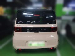 Wuling Hongguang MINIEV Macaron Fashion Edition LFP Battery - ფოტო 3