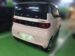Wuling Hongguang MINIEV Macaron Fashion Edition LFP Battery - ფოტო 4