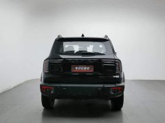 Great Wall Dachshund 1.5T DCT Two-Wheel Drive Malinois Hunting Edition - photo 4