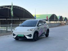 BYD Seagull Smart Driving Edition 305km Freedom Edition - ფოტო 1