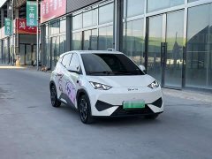 BYD Seagull Smart Driving Edition 305km Freedom Edition - ფოტო 3