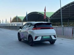 BYD Seagull Smart Driving Edition 305km Freedom Edition - ფოტო 4