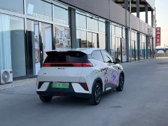 BYD Seagull Smart Driving Edition 305km Freedom Edition - ფოტო 6