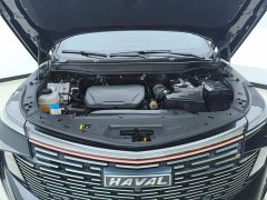 Haval Divine Beast 1.5T Smart Premium Edition - ფოტო 10