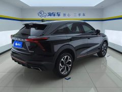 Haval Divine Beast 1.5T Smart Premium Edition - ფოტო 3