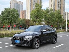 Audi SQ5 3.0 TFSI quattro - ფოტო 1