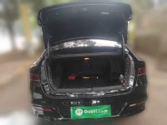 BYD Qin Plus DM-i 120KM Luxury - ფოტო 15