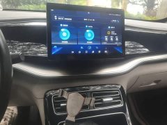 BYD Qin Plus DM-i 120KM Luxury - ფოტო 9