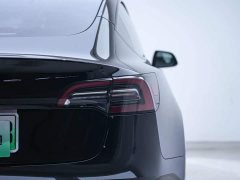 Tesla Model 3 Rear-Wheel Drive - ფოტო 10