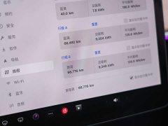 Tesla Model 3 Rear-Wheel Drive - ფოტო 18