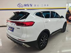 Haval H6 National Trend Edition 1.5T Automatic Urban Version - ფოტო 3
