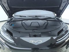 BYD Song Plus New Energy DM-i 112KM Luxury Edition - фото 10