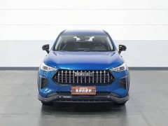 Haval Chitu Jingxiang Edition 1.5T Purple Copper Rabbit - фото 3