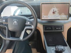BYD Song L DM-i 112km Transcendence - ფოტო 12