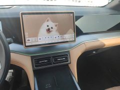 BYD Song L DM-i 112km Transcendence - ფოტო 13