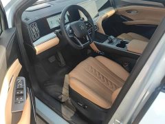 BYD Song L DM-i 112km Transcendence - ფოტო 9