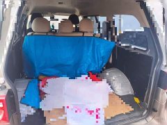 Dongfeng Lingzhi M5 1.6L Version 5 - photo 15