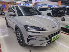 BYD Song Plus New Energy Champion Edition DM-i 110KM Flagship - photo 3