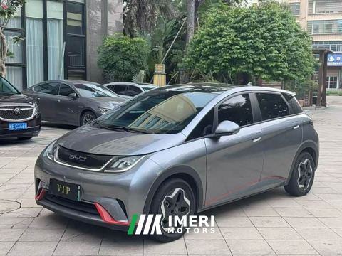 2023 BYD Dolphin 420km Fashion Edition