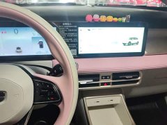 Geely Geometry E Firefly 401KM Super Eye-Catching Special Edition 5-Seater - ფოტო 12