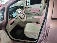 Geely Geometry E Firefly 401KM Super Eye-Catching Special Edition 5-Seater - ფოტო 14