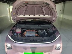 Geely Geometry E Firefly 401KM Super Eye-Catching Special Edition 5-Seater - ფოტო 19