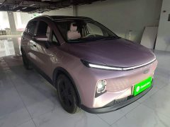 Geely Geometry E Firefly 401KM Super Eye-Catching Special Edition 5-Seater - ფოტო 3