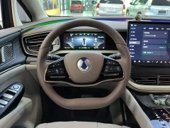 Denza D9 DM-i 970 AWD Premium Edition - ფოტო 10