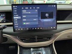 Denza D9 DM-i 970 AWD Premium Edition - ფოტო 12
