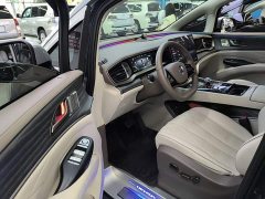 Denza D9 DM-i 970 AWD Premium Edition - ფოტო 15