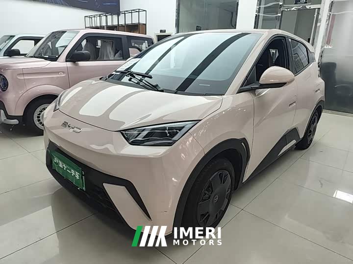 BYD Seagull Vitality Edition - ავტომობილი ჩინეთიდან