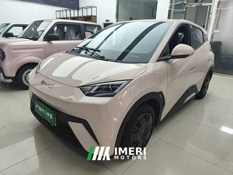 2024 BYD Seagull Vitality Edition