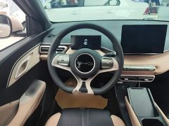 BYD Seagull Vitality Edition - ფოტო 10