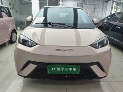 BYD Seagull Vitality Edition - ფოტო 2