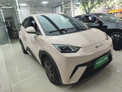 BYD Seagull Vitality Edition - ფოტო 3