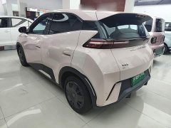 BYD Seagull Vitality Edition - ფოტო 4