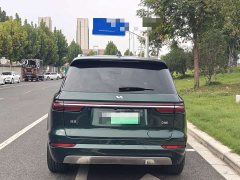 Li Auto ONE Extended Range 6-Seater - ფოტო 4