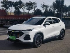 Changan Oushan X5 1.5T DCT Premier - ფოტო 1
