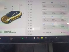 Tesla Model 3 Standard Range RWD Upgrade 3D6 - ფოტო 11