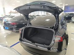 Tesla Model 3 Standard Range RWD Upgrade 3D6 - ფოტო 18