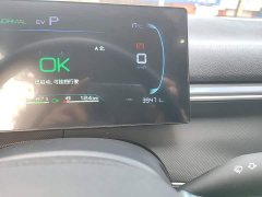 BYD Destroyer 05 Glory Edition DM-i 55KM Luxury - фото 11