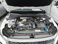Volkswagen Lavida 300TSI DSG Starry Sky Full-Featured Edition - ფოტო 19