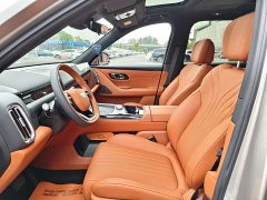 Geely Galaxy M9 230km RWD Voyage Edition - photo 18