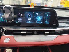 Chery Tiggo 7 PLUS 1.6TGDI DCT Flagship - ფოტო 12