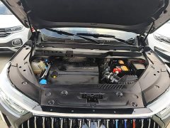 Chery Tiggo 7 PLUS 1.6TGDI DCT Flagship - ფოტო 19