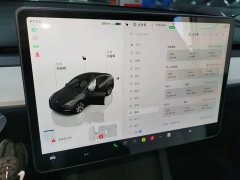 Tesla Model Y Rear-Wheel Drive - ფოტო 12