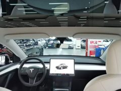 Tesla Model Y Rear-Wheel Drive - ფოტო 17