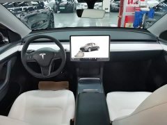 Tesla Model Y Rear-Wheel Drive - ფოტო 9