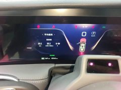 FAW Red Flag E-HS9 510km Range Flagship Edition Six-Seater - ფოტო 11
