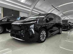 Buick Zhijing Shijia Luxury Edition - фото 1